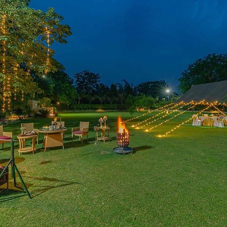 Stayvista'S Peacocks & Partridges - Hoshiarpur - Amidst Greenery With Terrace, Indoor Fireplace, Bar & Snooker Table Bagian luar foto